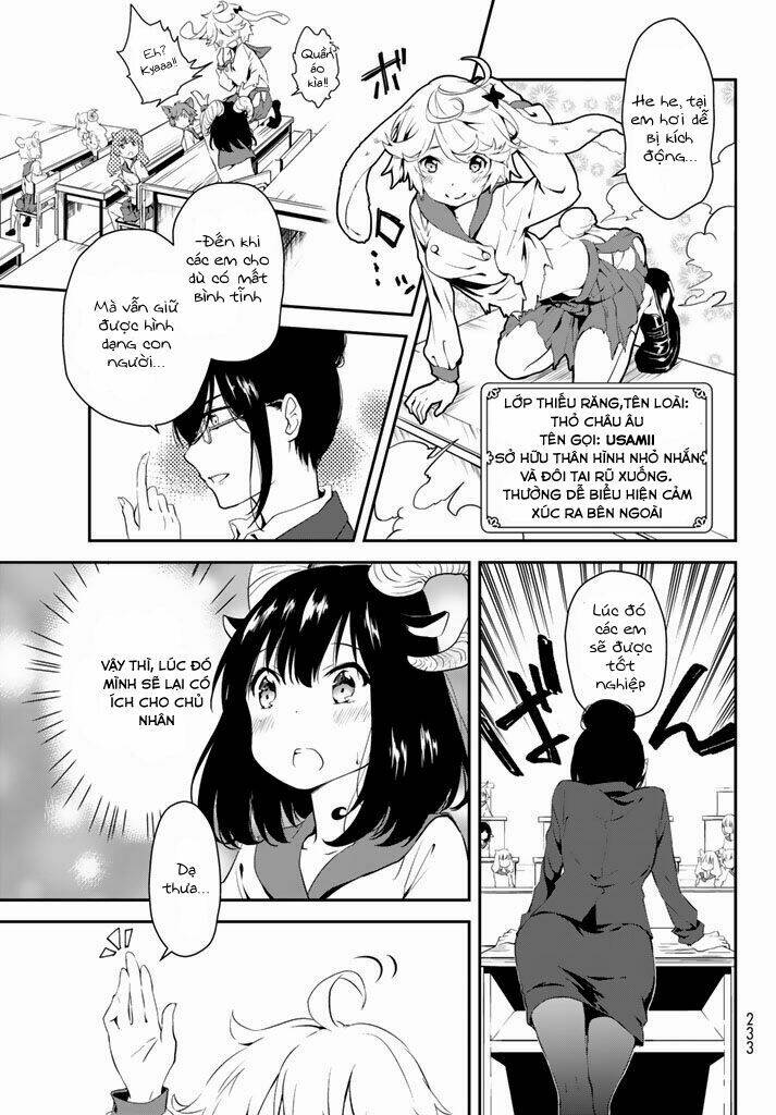 page_19.jpg