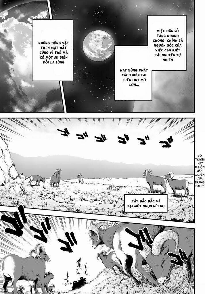 page_5.jpg