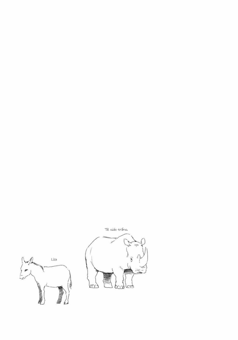 page_22.jpg