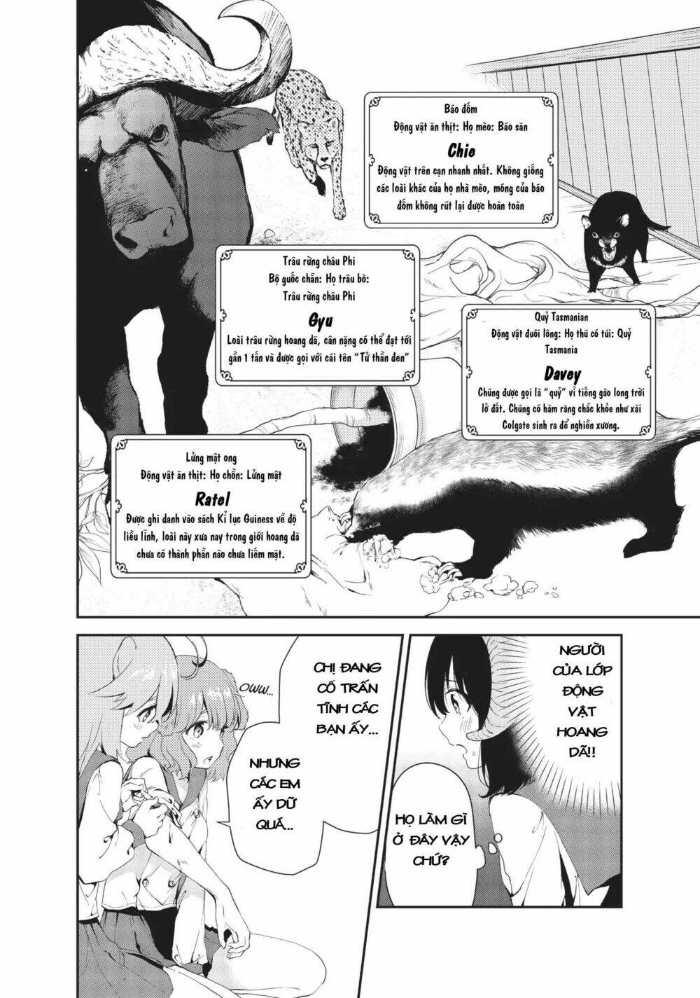 page_17.jpg