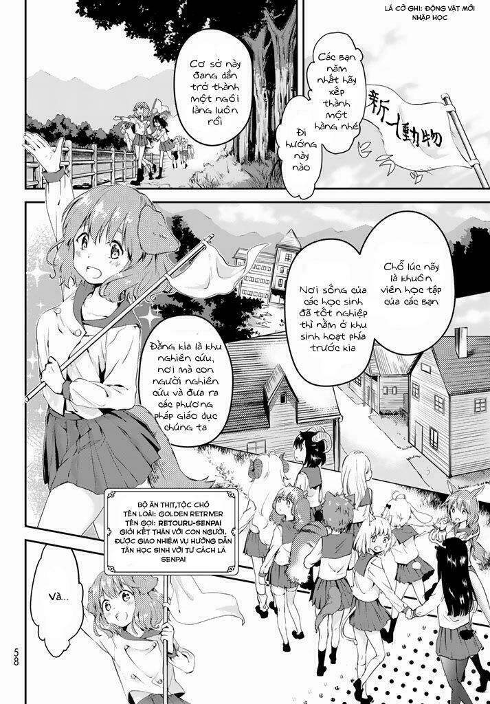 page_5.jpg