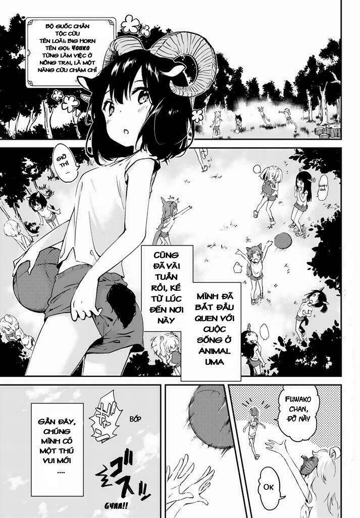 page_5.jpg