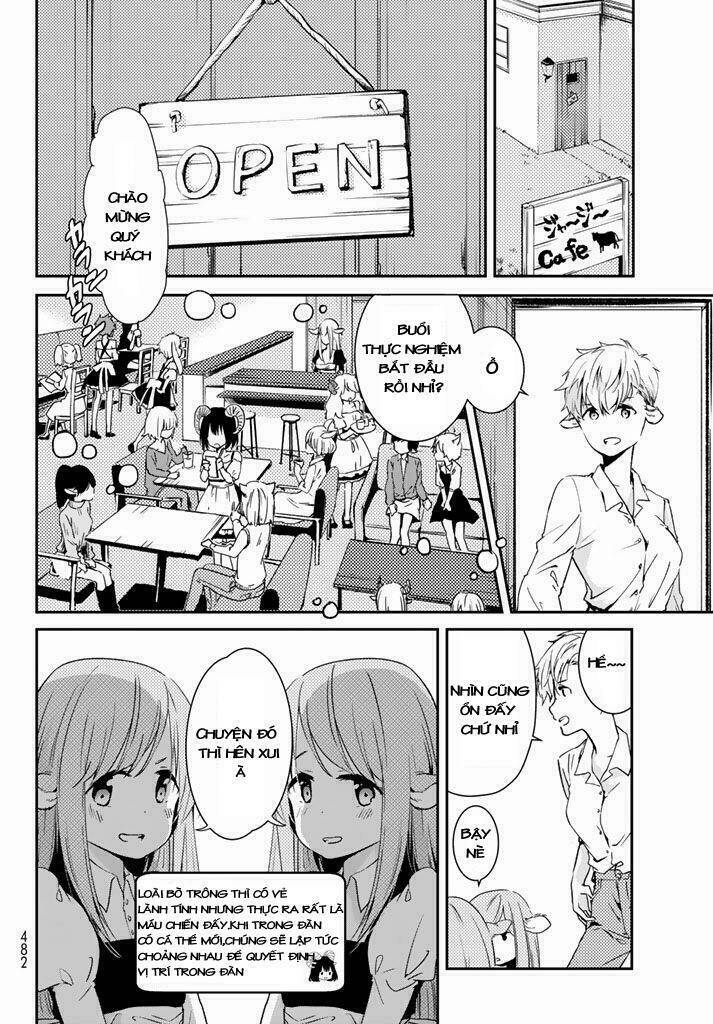 page_11.jpg