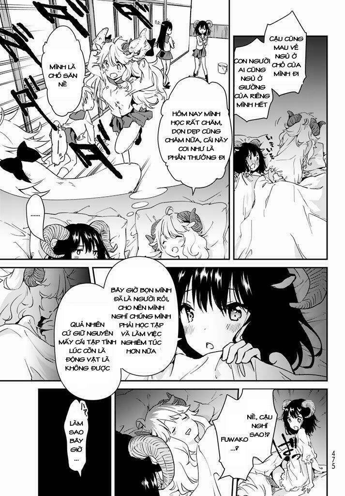 page_5.jpg