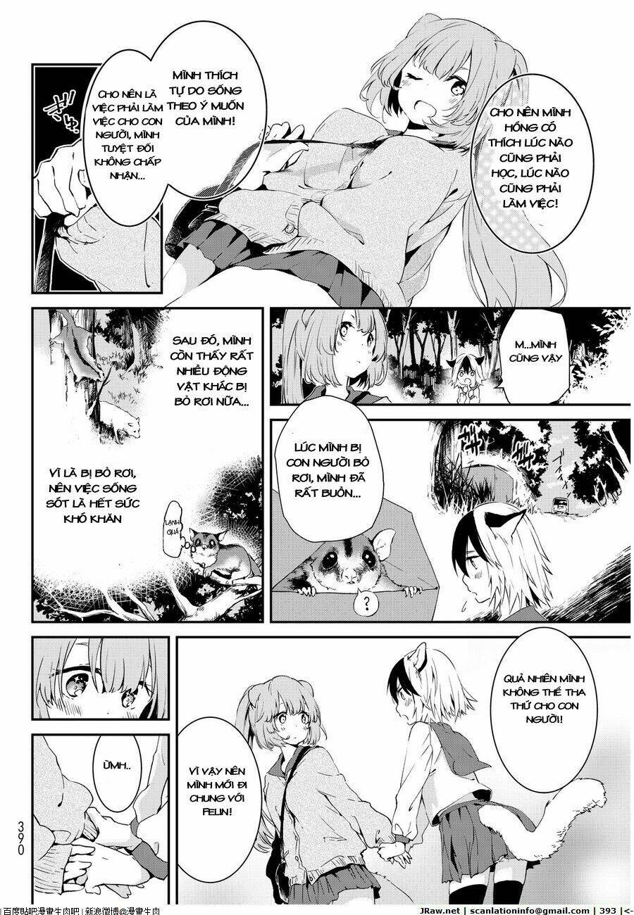 page_8.jpg