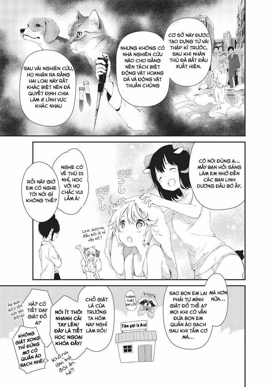 page_13.jpg