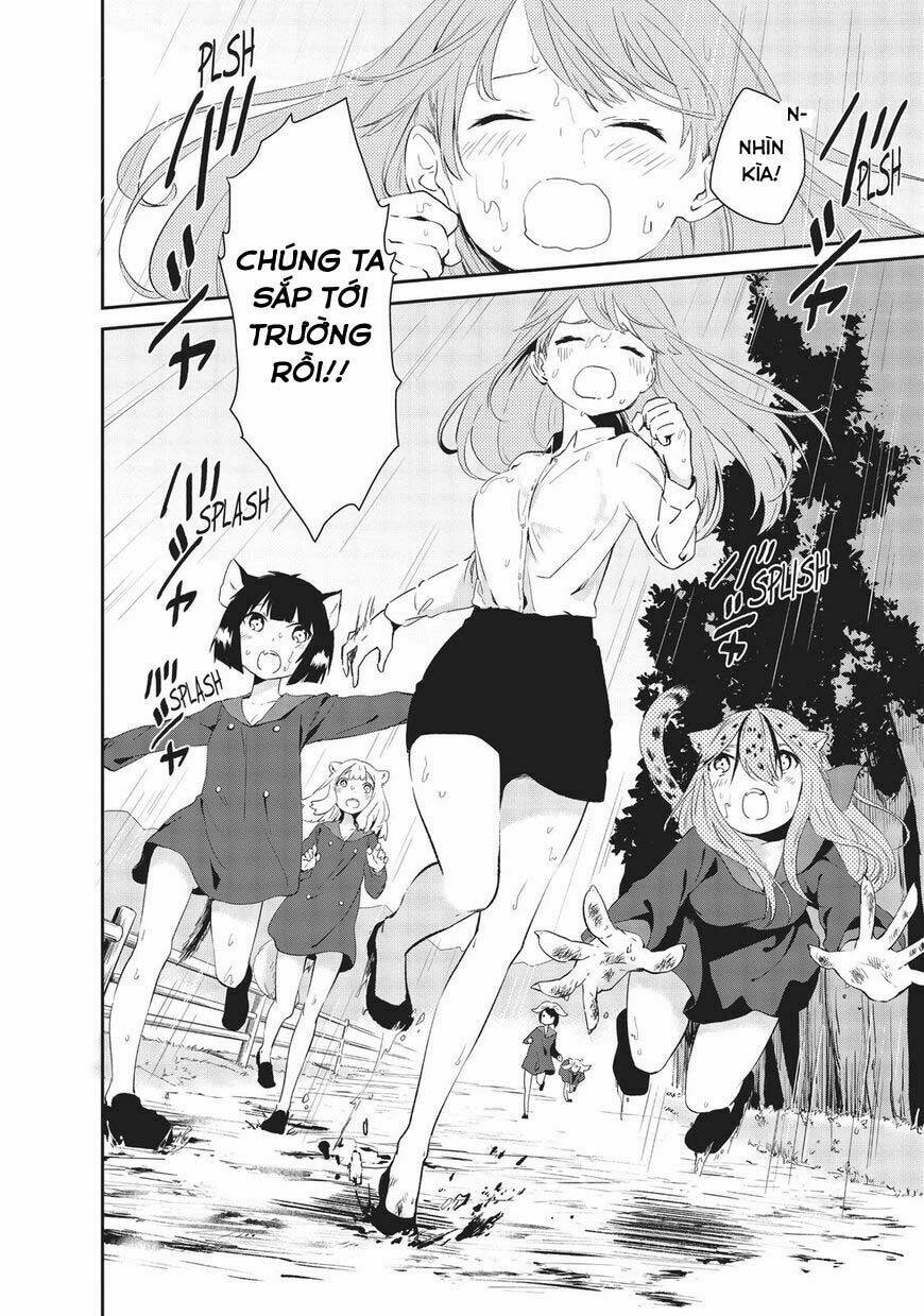 page_8.jpg