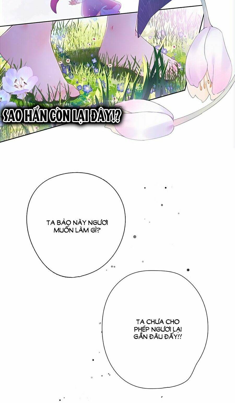 page_41.jpg