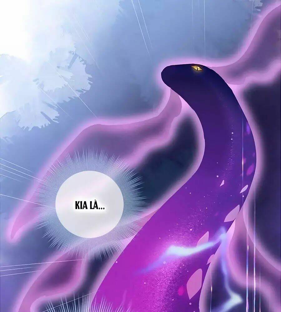 page_20.jpg