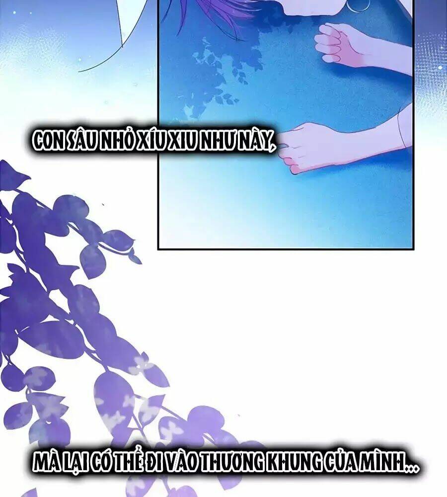 page_24.jpg