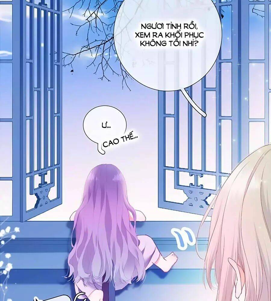 page_25.jpg