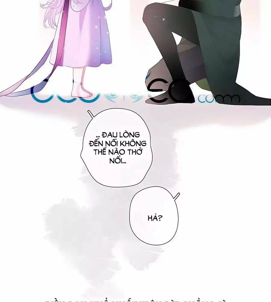 page_29.jpg