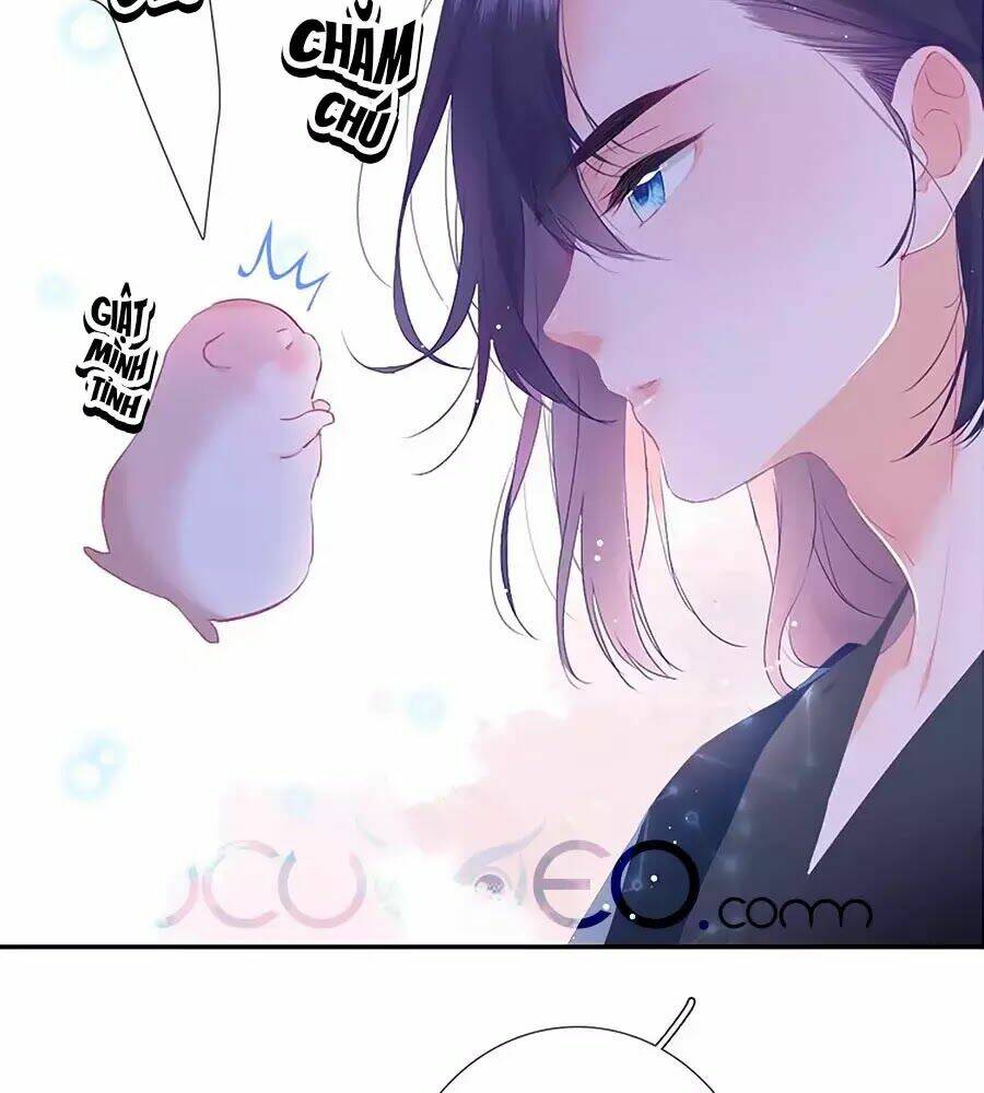 page_77.jpg