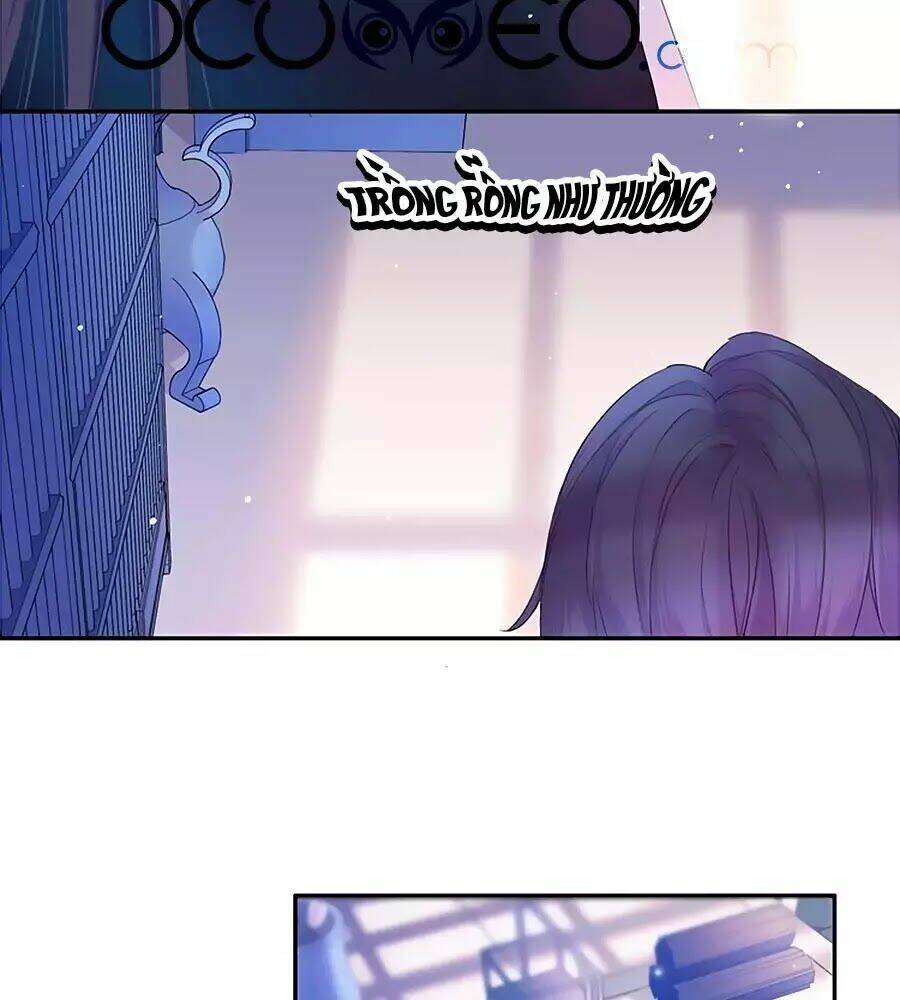 page_24.jpg