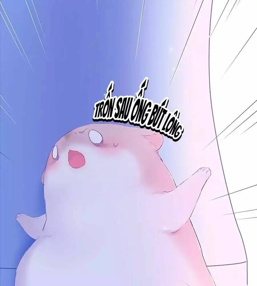 page_26.jpg