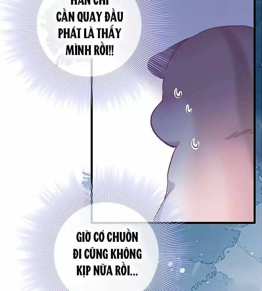 page_37.jpg