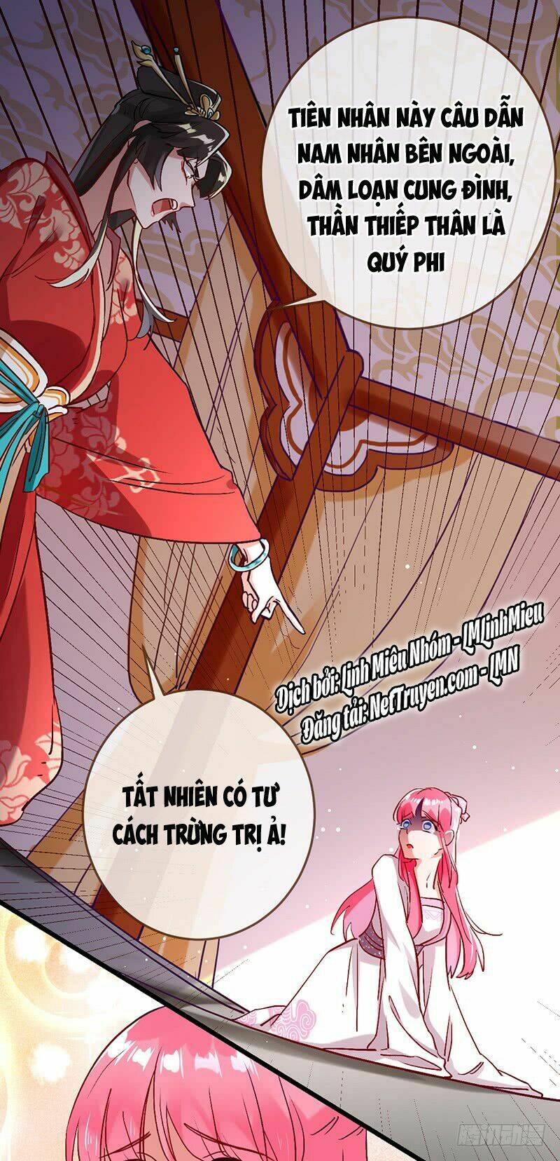 page_4.jpg