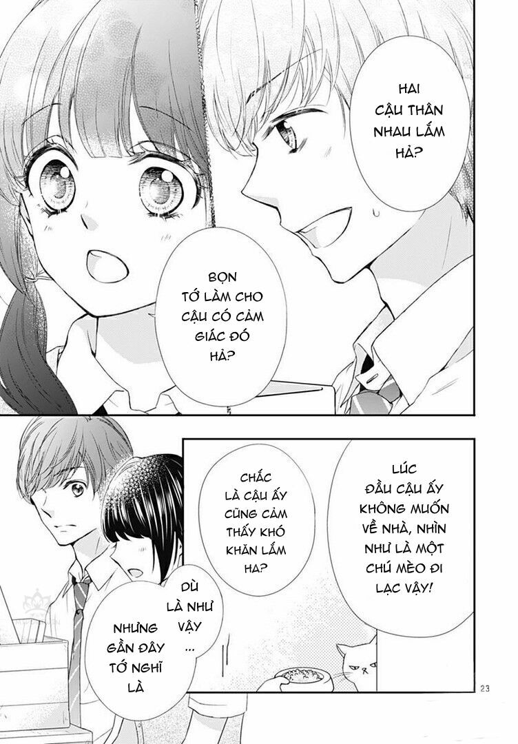 page_23.jpg