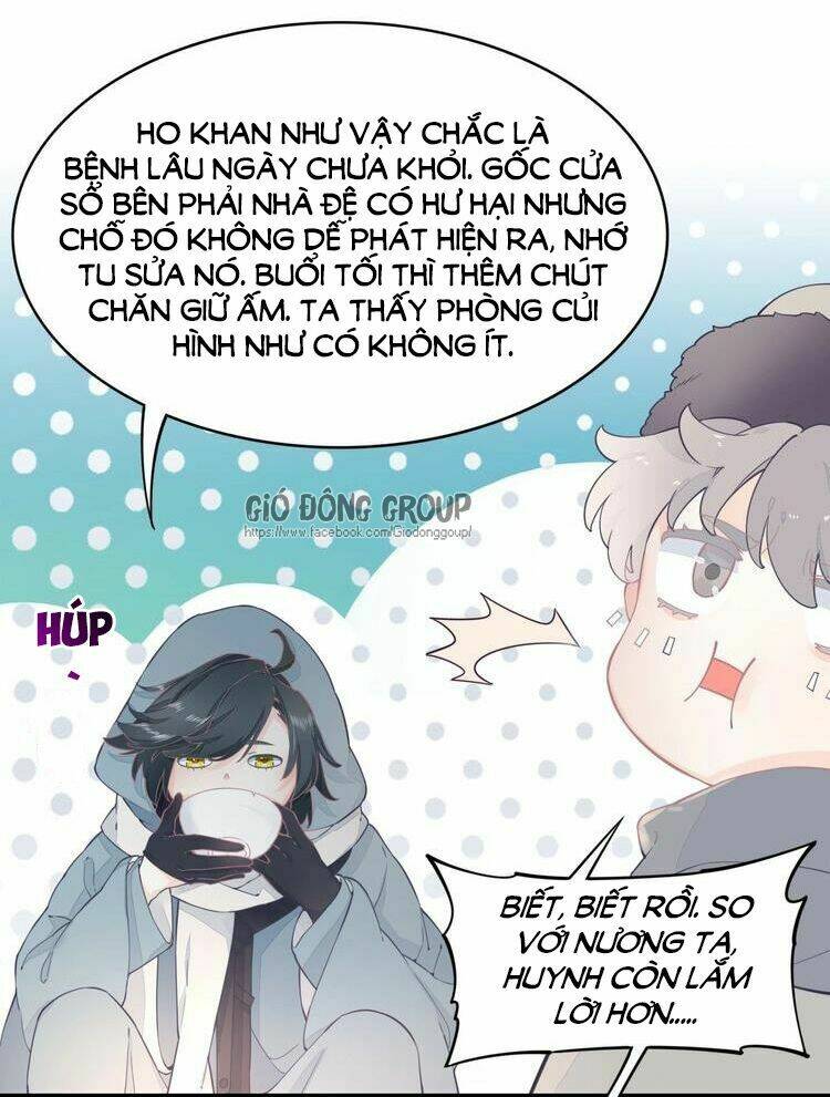 page_21.jpg