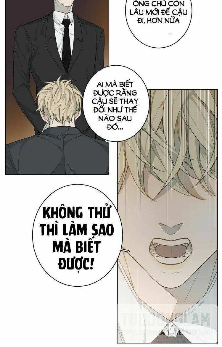 page_21.jpg