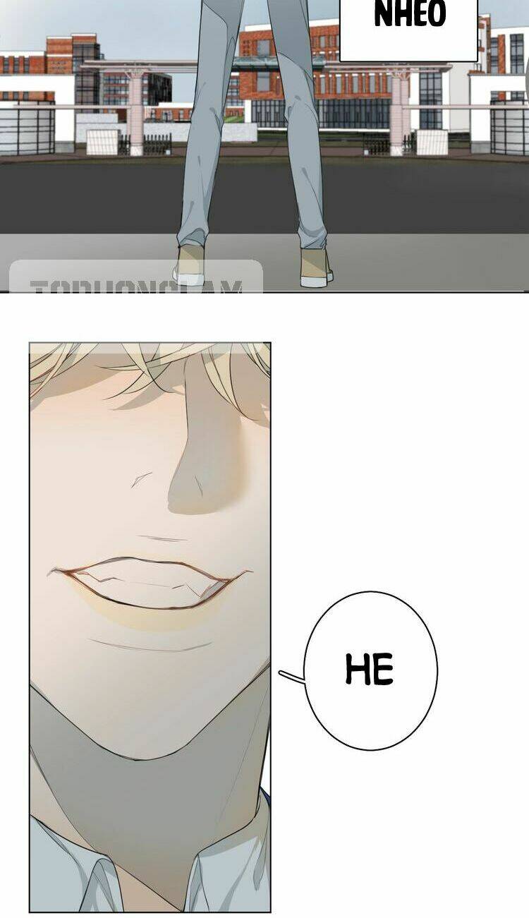 page_37.jpg