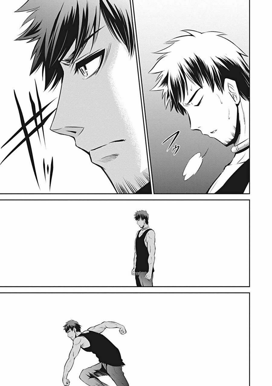 page_20.jpg
