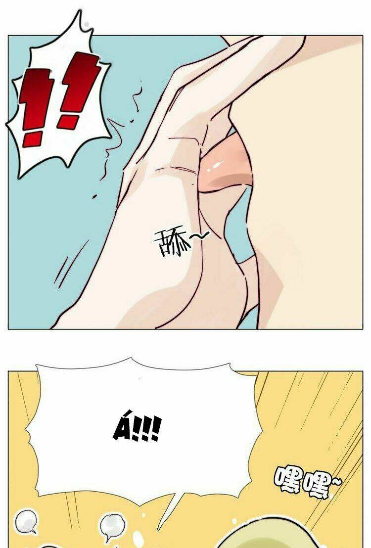 page_28.jpg