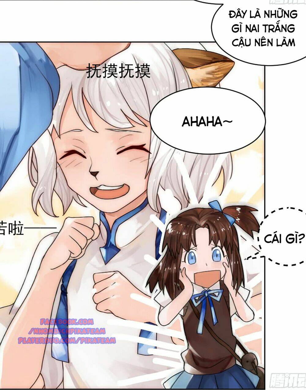 page_13.jpg