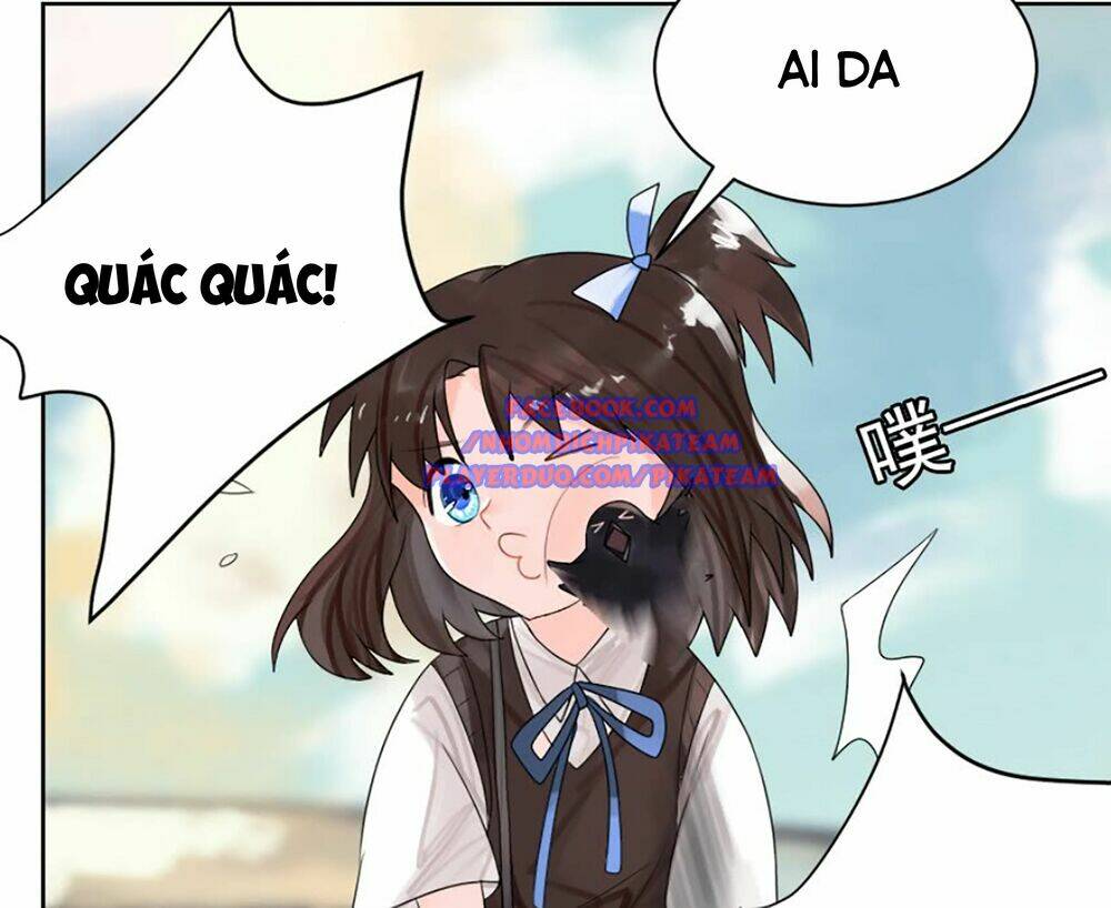 page_21.jpg