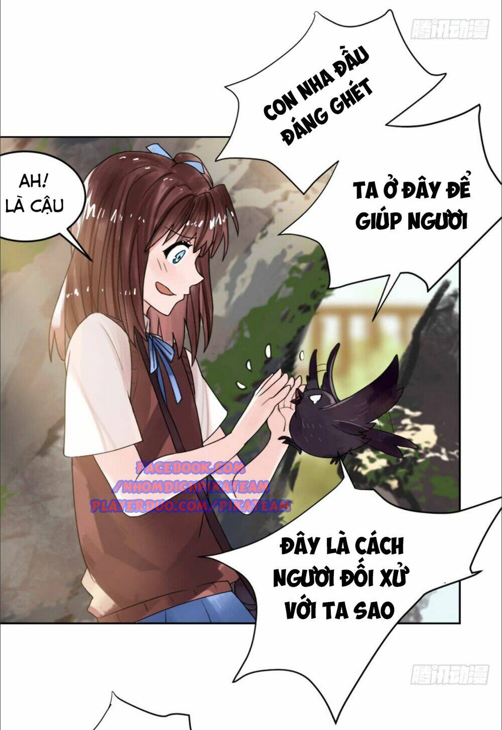 page_27.jpg
