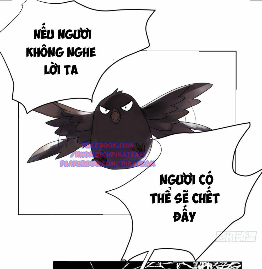 page_31.jpg