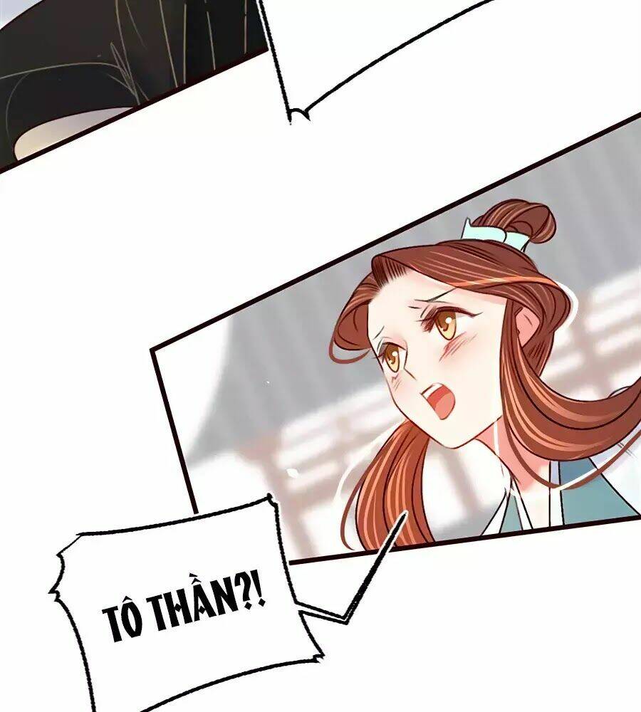 page_24.jpg