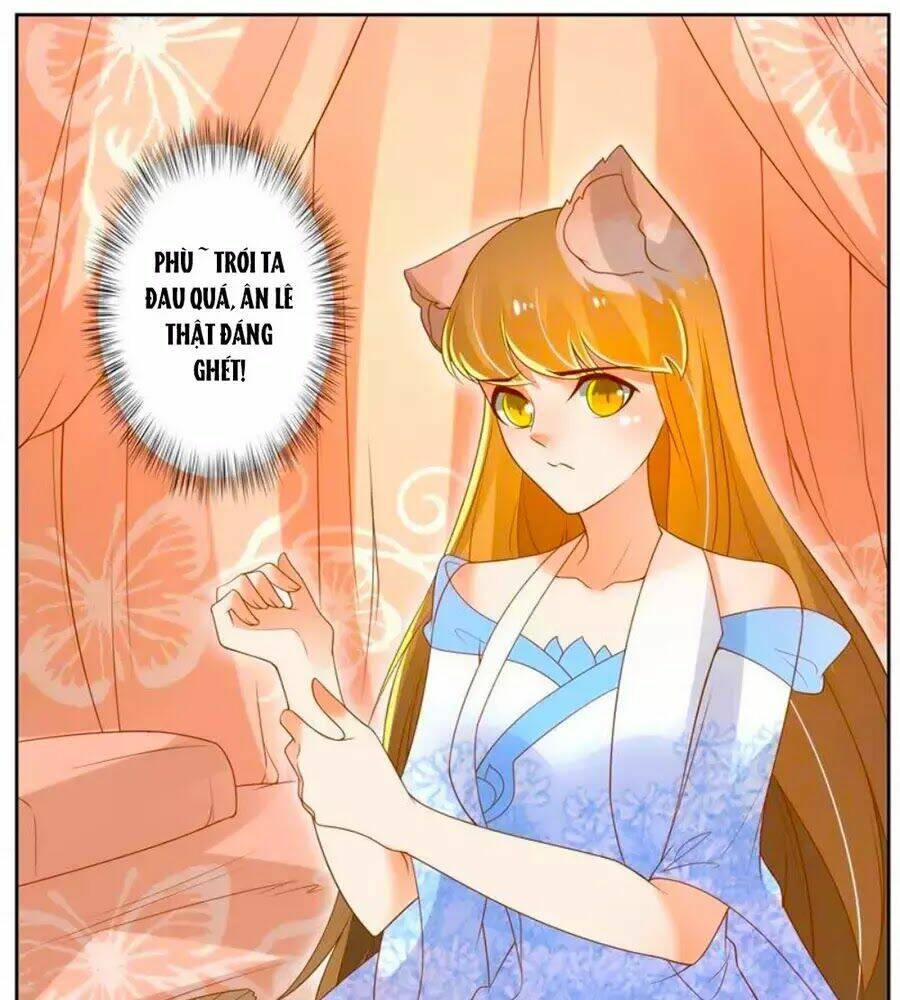 page_19.jpg