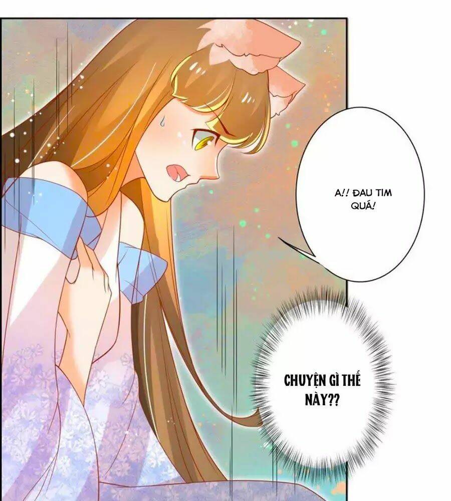 page_14.jpg