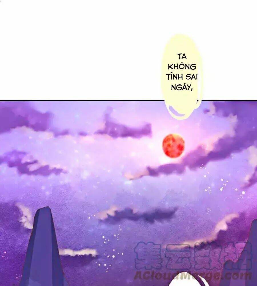 page_21.jpg