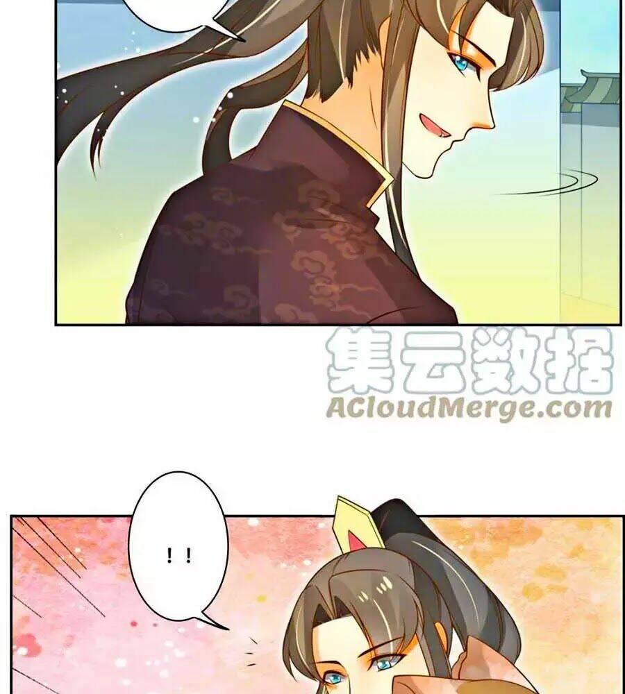 page_24.jpg