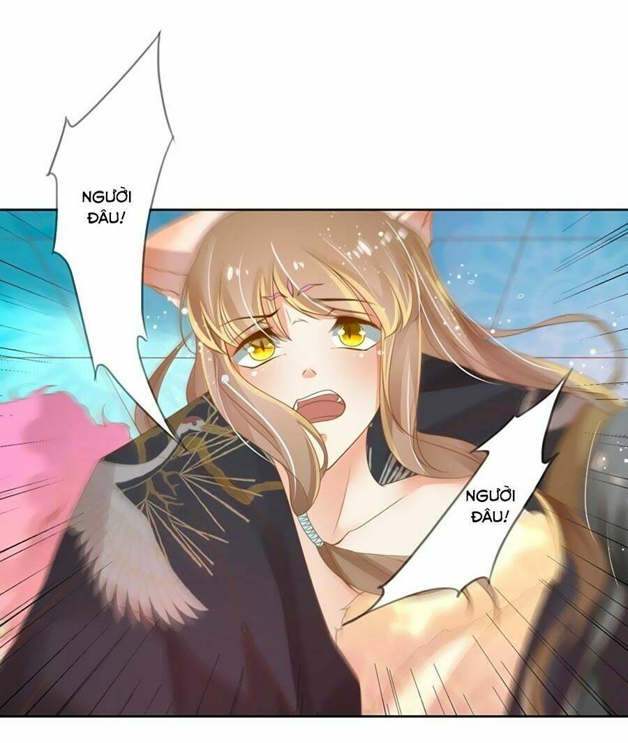 page_23.jpg