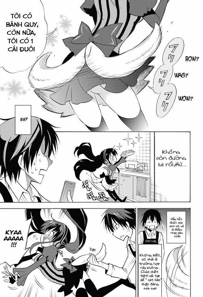 page_9.jpg