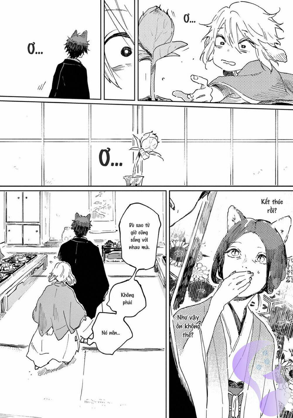 page_14.jpg