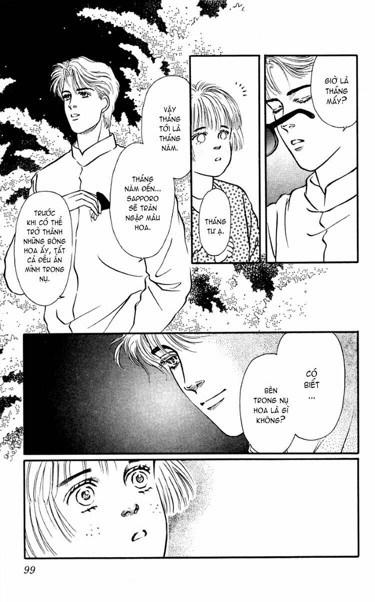 page_35.jpg