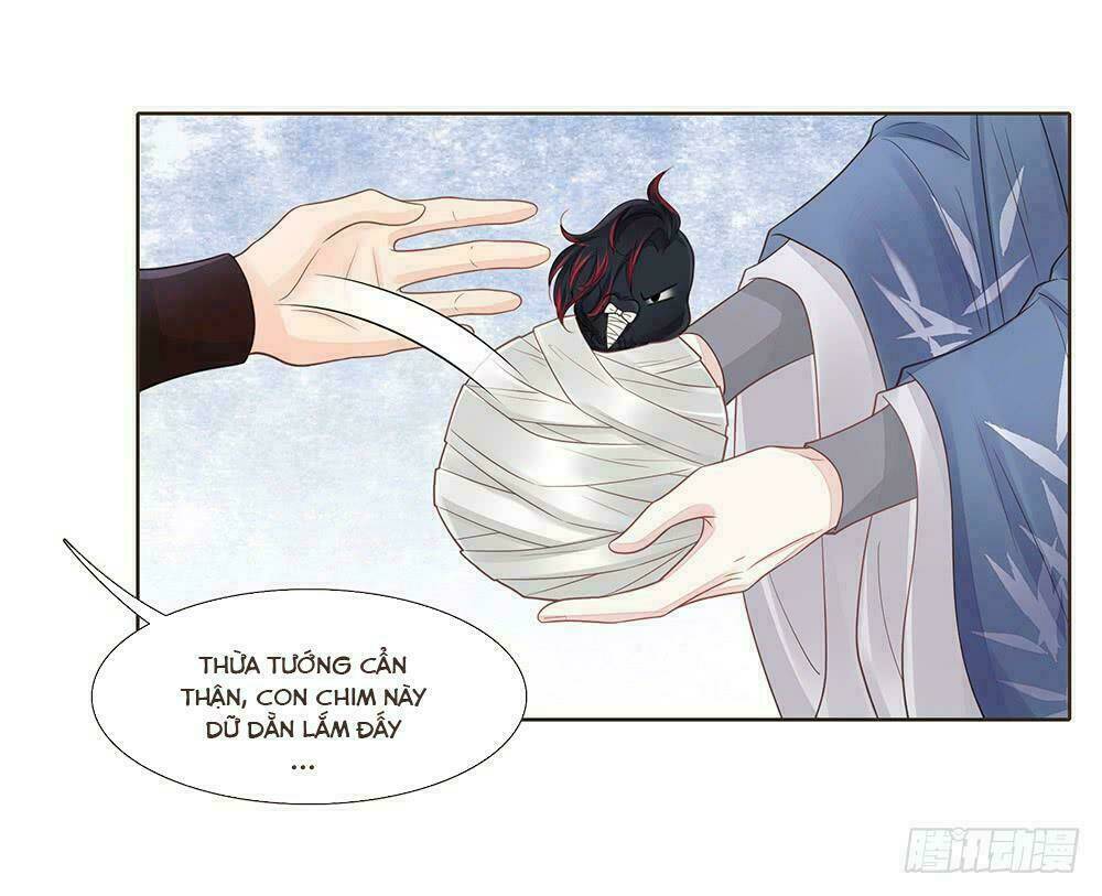 page_48.jpg