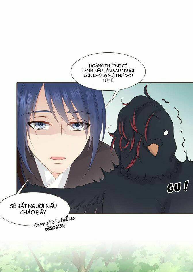 page_19.jpg