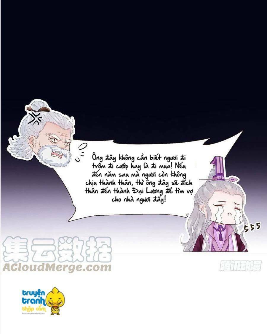 page_29.jpg