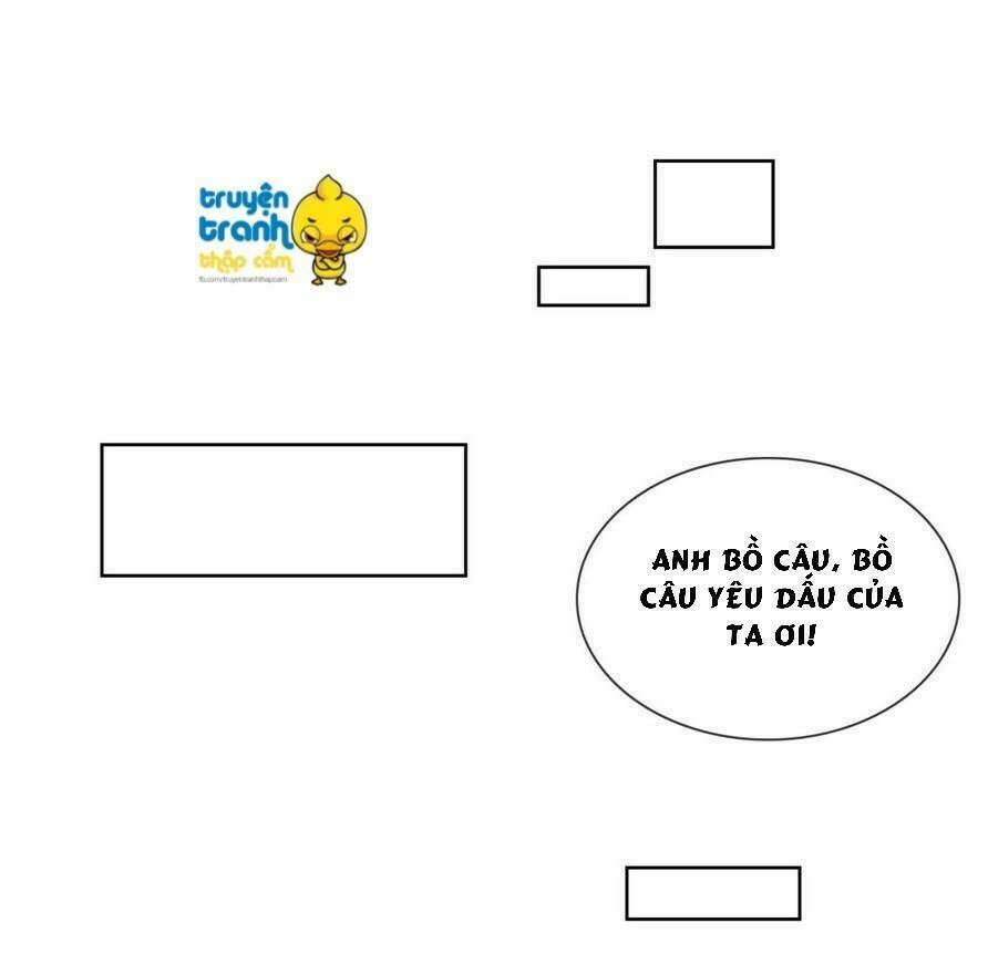 page_27.jpg