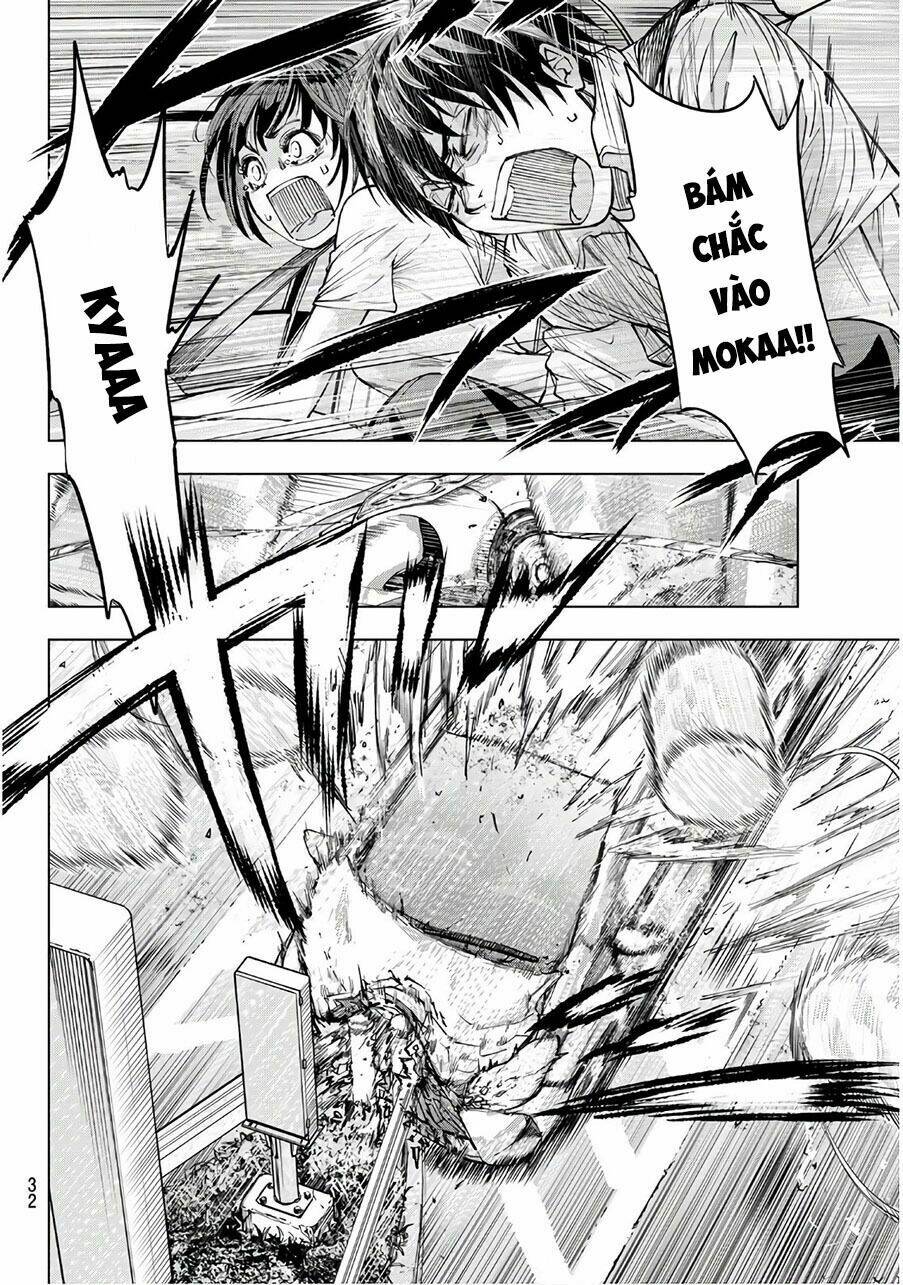 page_15.jpg