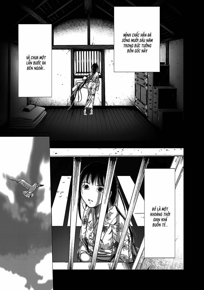 page_13.jpg