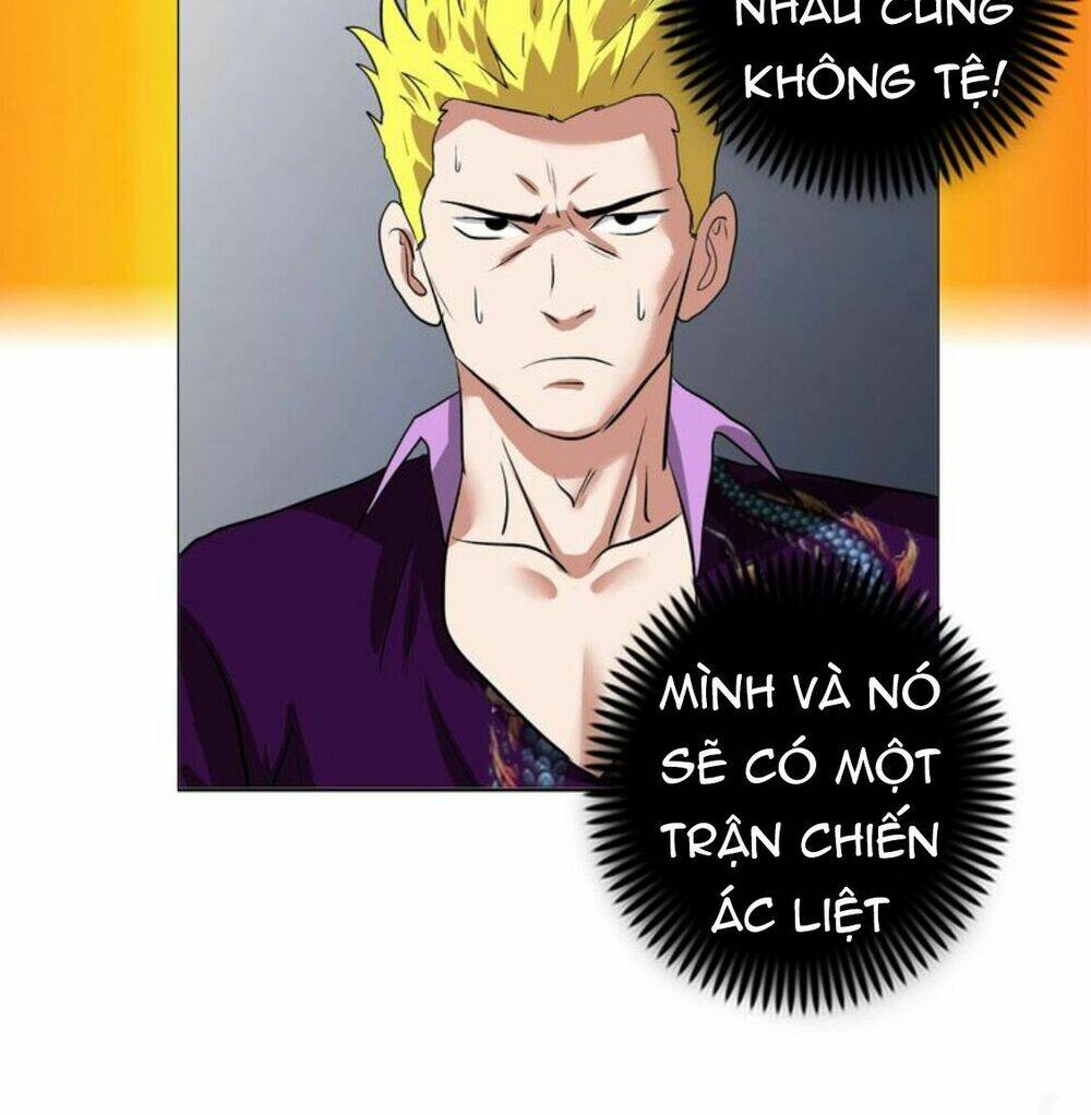 page_35.jpg