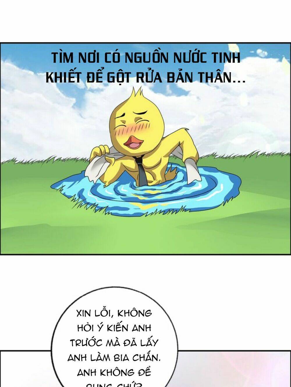 page_11.jpg