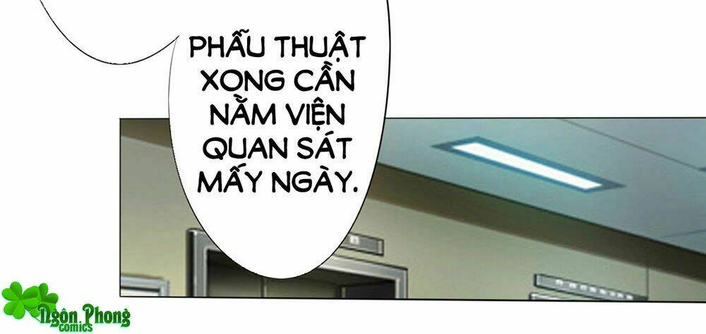page_39.jpg