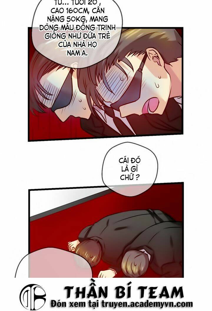 page_22.jpg